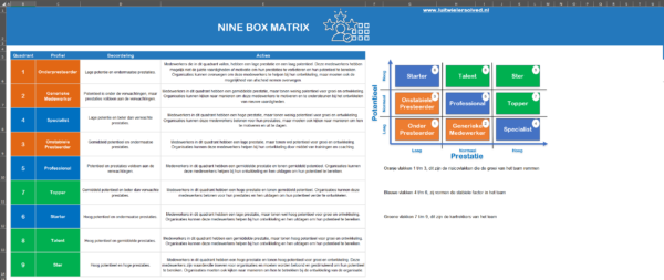 9-Box Matrix Light