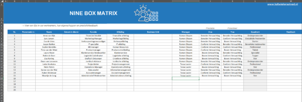9-box performance grid PRO Mederwerkers - tab 9-Box Matrix Pro