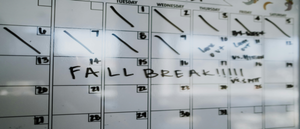 Afdelings vakantie planner